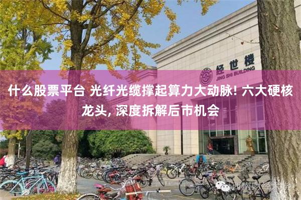 什么股票平台 光纤光缆撑起算力大动脉! 六大硬核龙头, 深度拆解后市机会