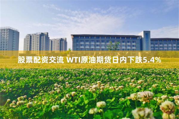 股票配资交流 WTI原油期货日内下跌5.4%