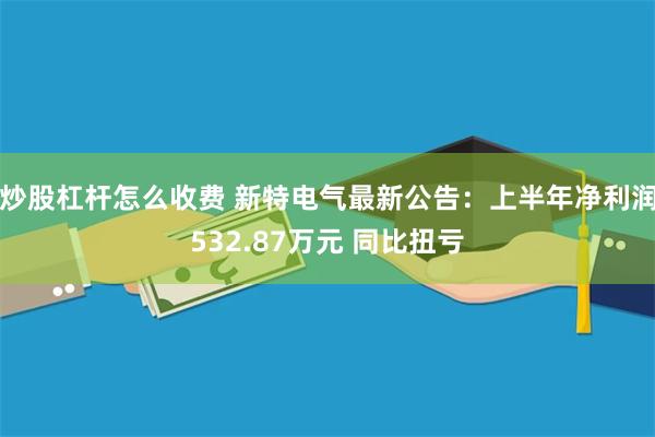 炒股杠杆怎么收费 新特电气最新公告：上半年净利润532.87万元 同比扭亏