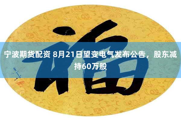 宁波期货配资 8月21日望变电气发布公告，股东减持60万股