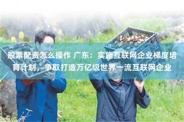 股票配资怎么操作 广东：实施互联网企业梯度培育计划，争取打造万亿级世界一流互联网企业