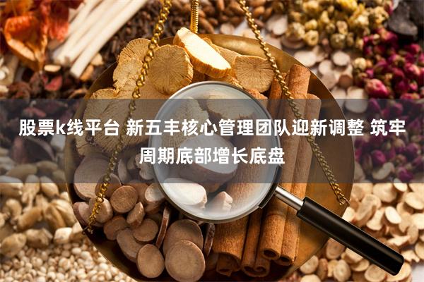 股票k线平台 新五丰核心管理团队迎新调整 筑牢周期底部增长底盘