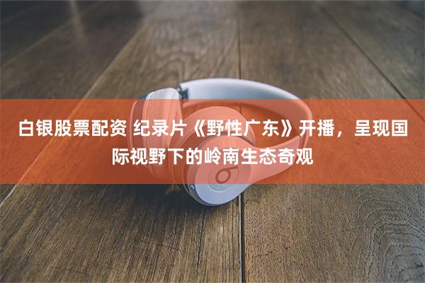 白银股票配资 纪录片《野性广东》开播，呈现国际视野下的岭南生态奇观