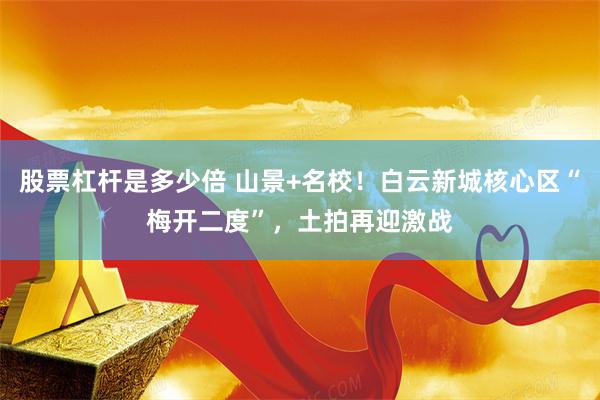 股票杠杆是多少倍 山景+名校!白云新城核心区“梅开二度”,土拍再迎激战