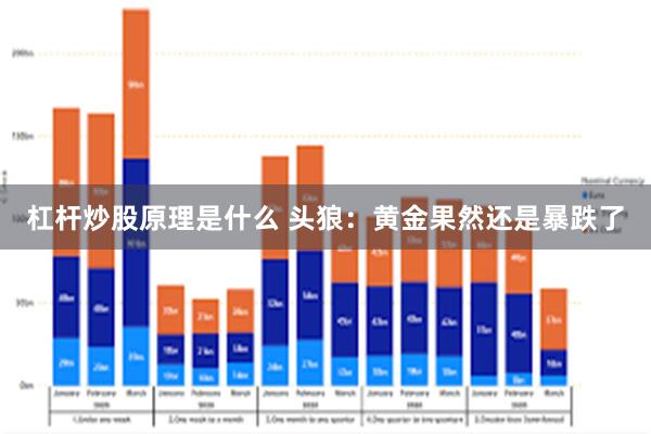 杠杆炒股原理是什么 头狼：黄金果然还是暴跌了