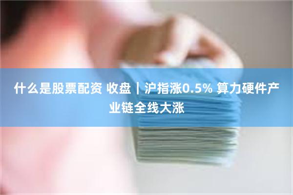 什么是股票配资 收盘|沪指涨0.5% 算力硬件产业链全线大涨