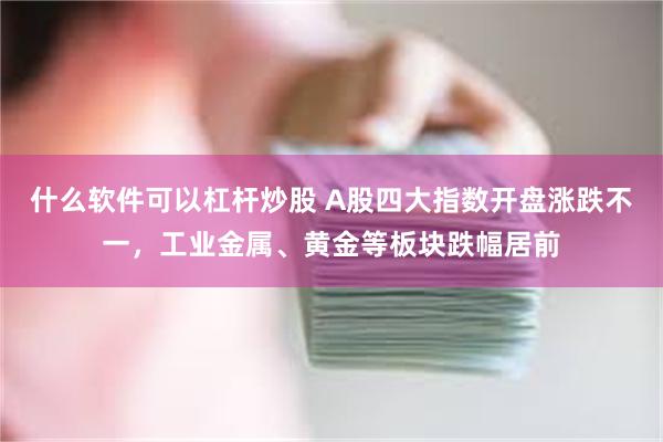 什么软件可以杠杆炒股 A股四大指数开盘涨跌不一，工业金属、黄金等板块跌幅居前