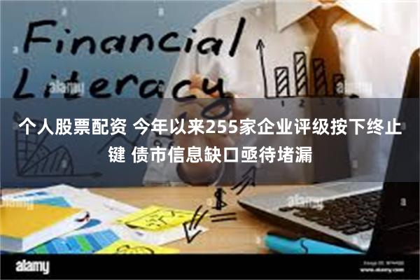 个人股票配资 今年以来255家企业评级按下终止键 债市信息缺口亟待堵漏