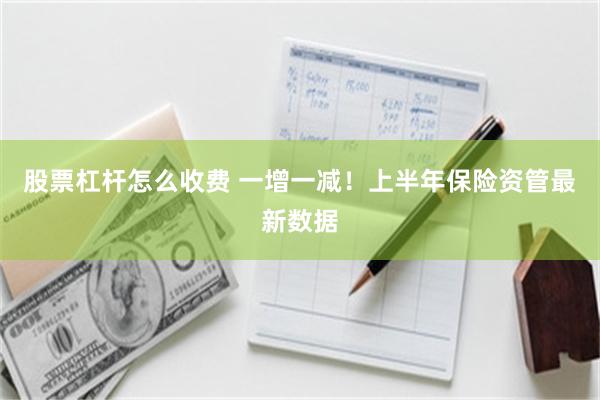股票杠杆怎么收费 一增一减！上半年保险资管最新数据