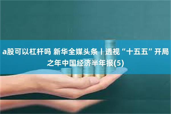 a股可以杠杆吗 新华全媒头条丨透视“十五五”开局之年中国经济半年报(5)