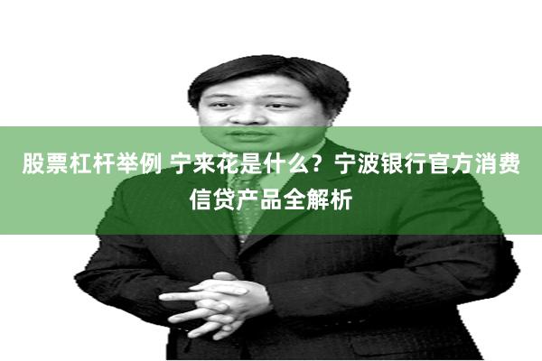 股票杠杆举例 宁来花是什么?宁波银行官方消费信贷产品全解析