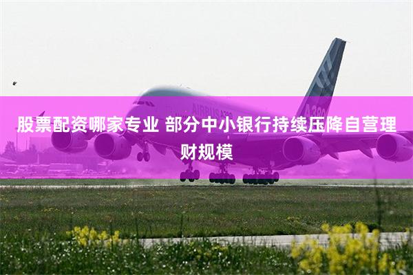 股票配资哪家专业 部分中小银行持续压降自营理财规模
