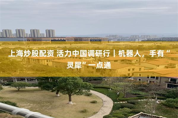 上海炒股配资 活力中国调研行｜机器人，手有“灵犀”一点通