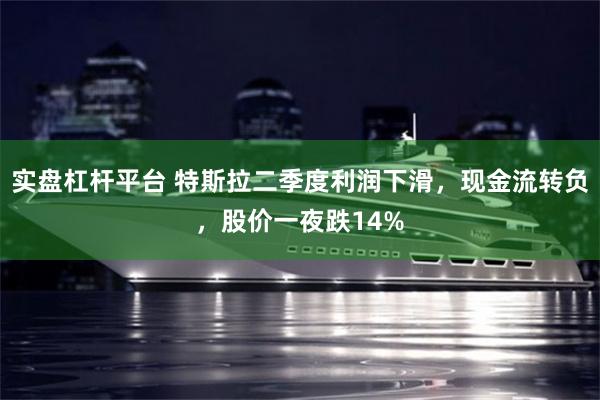 实盘杠杆平台 特斯拉二季度利润下滑，现金流转负，股价一夜跌14%