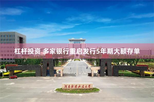 杠杆投资 多家银行重启发行5年期大额存单