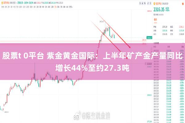 股票t 0平台 紫金黄金国际：上半年矿产金产量同比增长44%至约27.3吨