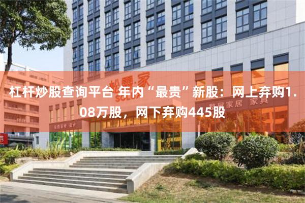 杠杆炒股查询平台 年内“最贵”新股：网上弃购1.08万股，网下弃购445股