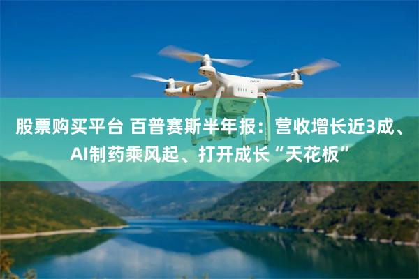 股票购买平台 百普赛斯半年报：营收增长近3成、AI制药乘风起、打开成长“天花板”