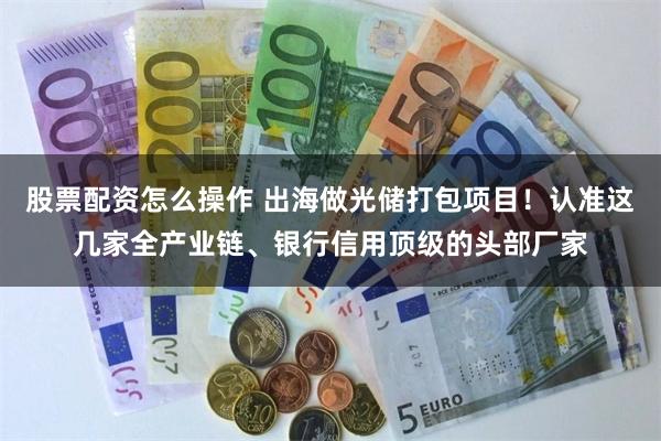 股票配资怎么操作 出海做光储打包项目!认准这几家全产业链、银行信用顶级的头部厂家