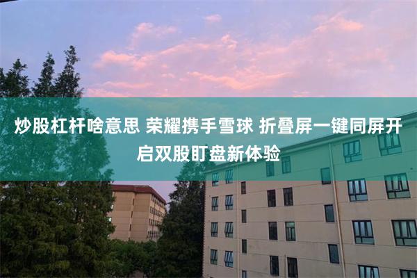 炒股杠杆啥意思 荣耀携手雪球 折叠屏一键同屏开启双股盯盘新体验