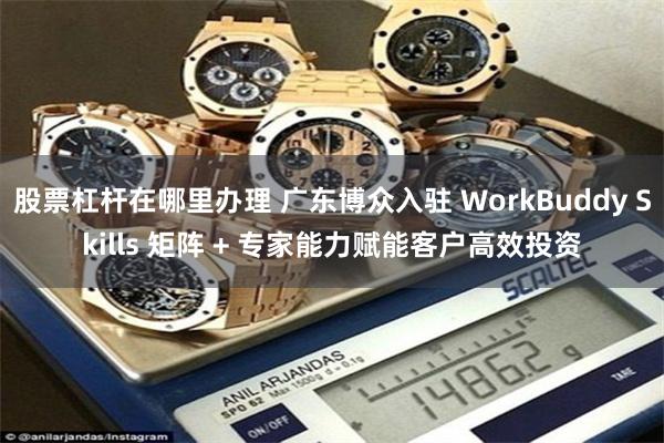 股票杠杆在哪里办理 广东博众入驻 WorkBuddy Skills 矩阵 + 专家能力赋能客户高效投资