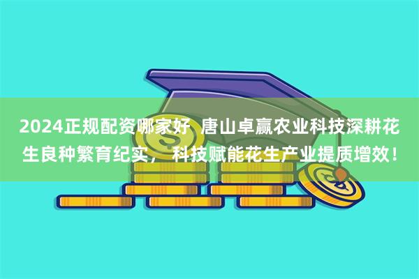 2024正规配资哪家好  唐山卓赢农业科技深耕花生良种繁育纪实， 科技赋能花生产业提质增效！