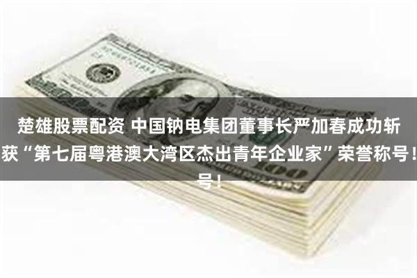 楚雄股票配资 中国钠电集团董事长严加春成功斩获“第七届粤港澳大湾区杰出青年企业家”荣誉称号！