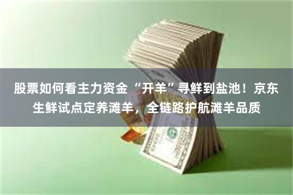 股票如何看主力资金 “开羊”寻鲜到盐池！京东生鲜试点定养滩羊，全链路护航滩羊品质