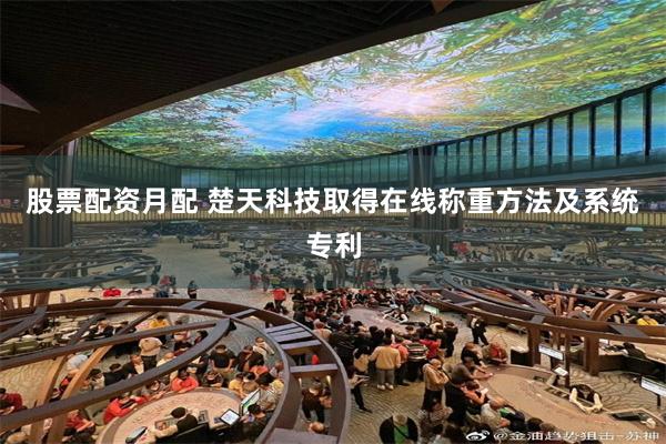 股票配资月配 楚天科技取得在线称重方法及系统专利