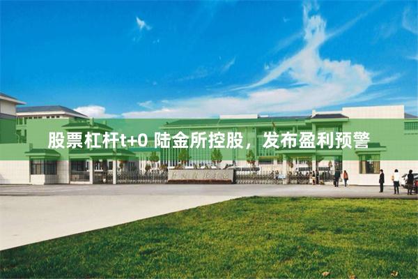 股票杠杆t+0 陆金所控股，发布盈利预警