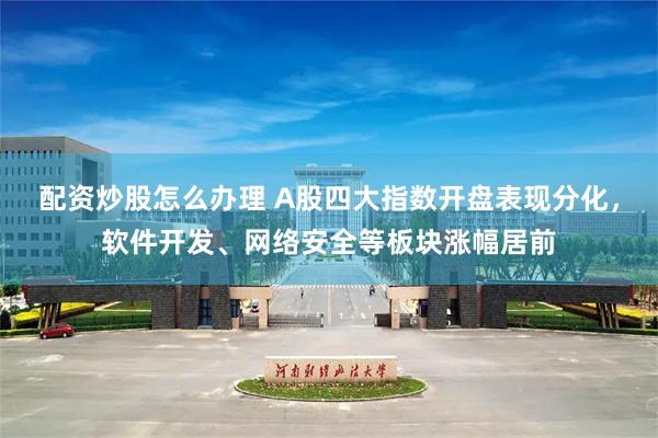 配资炒股怎么办理 A股四大指数开盘表现分化,软件开发、网络安全等板块涨幅居前