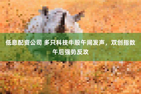 低息配资公司 多只科技牛股午间发声，双创指数午后强势反攻